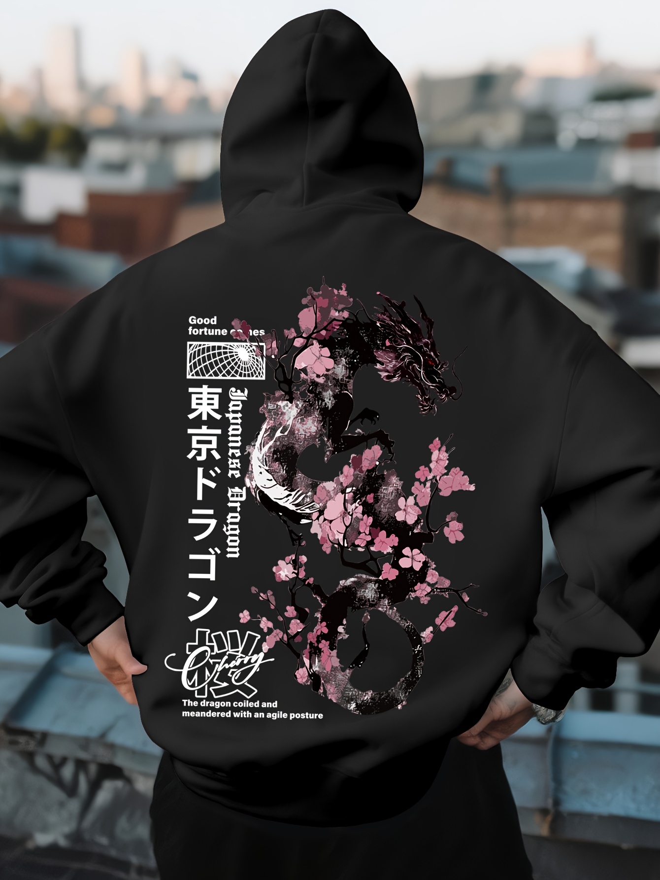 Mens Hip Hop Sports Hoodie Aes - Street Fashion Asian recension och pris